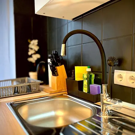 G&g Luxury Am Stadtpark Apartmán Bendorf